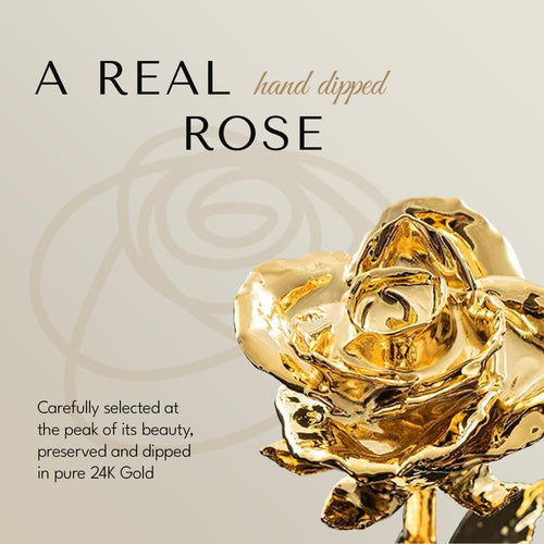 24K Gold Dipped Real Rose, Handmade, in Gold Gift Box | Long Lasting, Romantic Gift for Anniversary, Valentine'S Day, Mother'S Day, Birthday, Wedding, Wife, Girlfriend